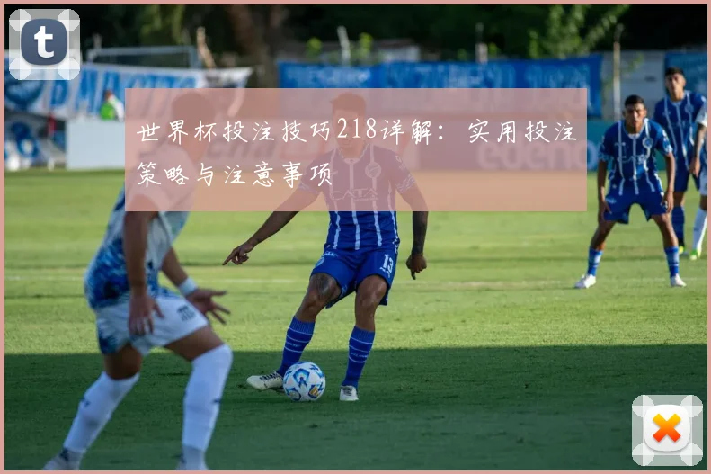 世界杯投注技巧218详解：实用投注策略与注意事项