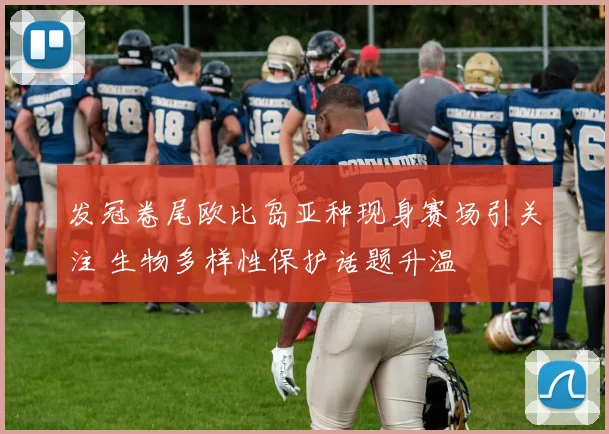 发冠卷尾欧比岛亚种现身赛场引关注 生物多样性保护话题升温