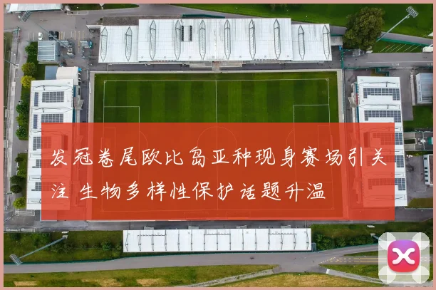 发冠卷尾欧比岛亚种现身赛场引关注 生物多样性保护话题升温
