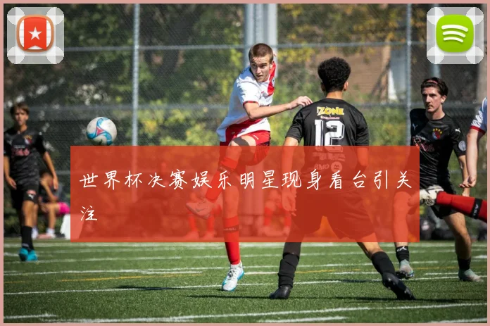 世界杯决赛娱乐明星现身看台引关注