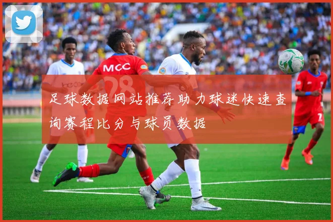 足球数据网站推荐助力球迷快速查询赛程比分与球员数据