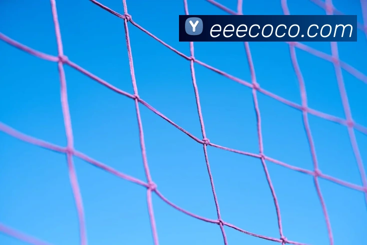 尊龙官网首页APP 封面图